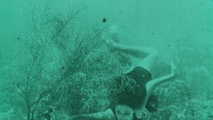 Al_via_il_Festival_CinemAmbien