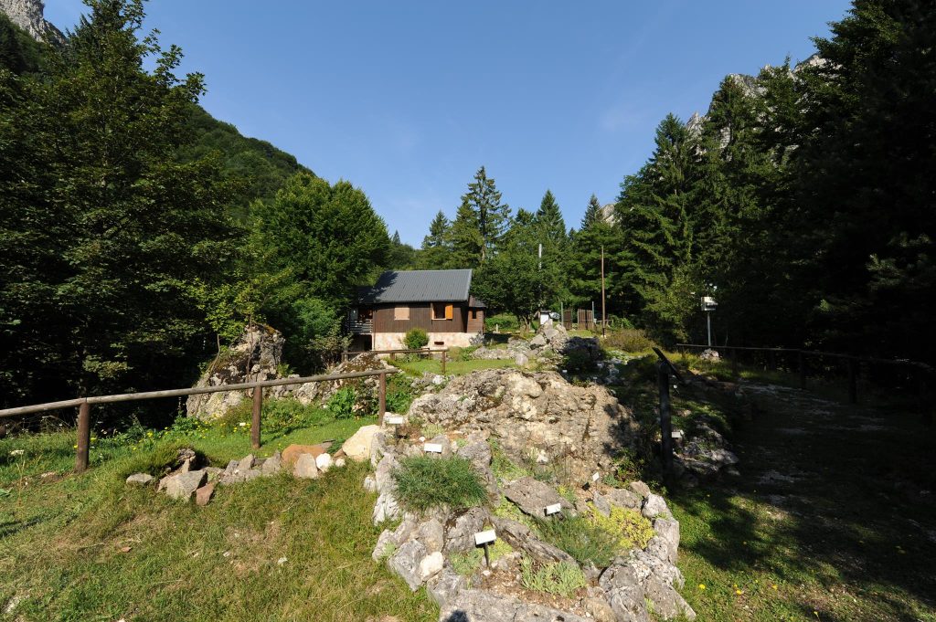 Il_giardino_alpino_san_marco_r