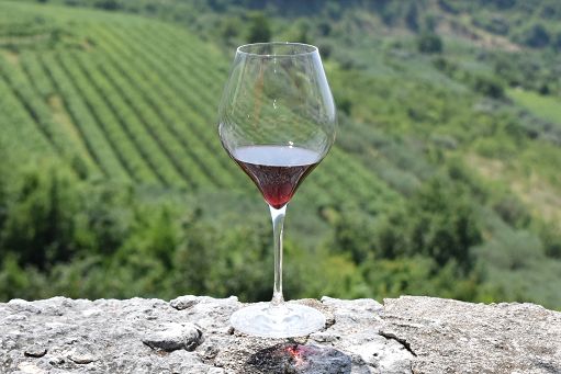 Vino/"Amarone in Capitale": il 4 giugno il re della Valpolicella è a Roma