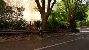 Firenze_in_fiamme%3A_incendio_su