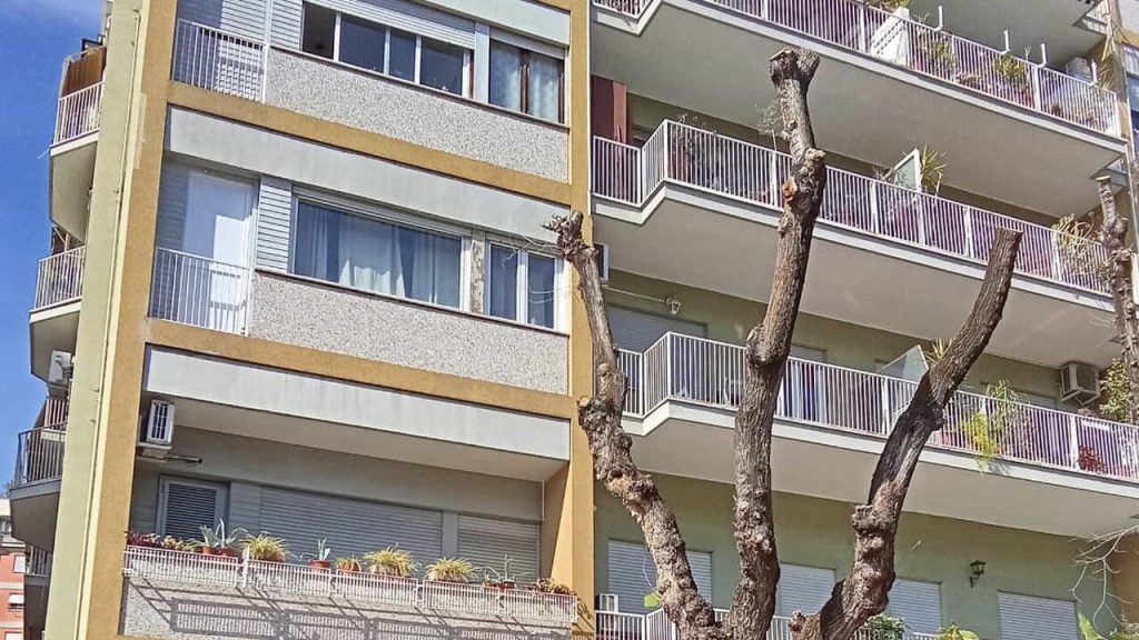 Gli_alberi_di_viale_dei_Quattr