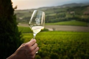 Vino/Vino, l'8 giugno Consorzio Collio a Roma con 31 Cantine per Ais Lazio