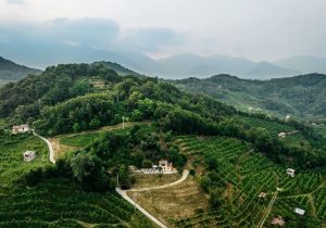 Vino/Vino, alla Cantina La Farra il ciclo di eventi "Dialoghi a Col Brià"
