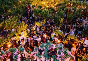 Vino/Vina Escondida, il summer festival della Cantina trevigiana Ca' di Rajo
