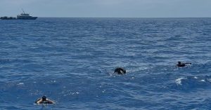 Soccorso_nel_Mediterraneo%3A_il_