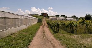 Tragico_incidente_sul_lavoro%3A_
