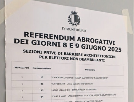REFERENDUM  2025  GENTE AL VOTO