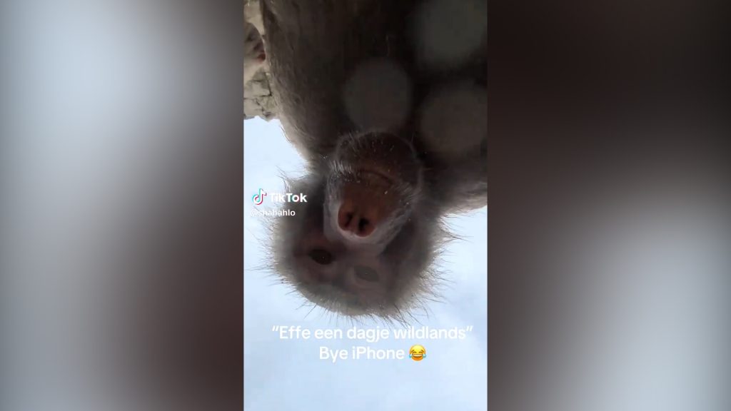 Una_visita_allo_zoo_si_trasfor
