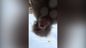 Una_visita_allo_zoo_si_trasfor